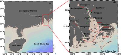 Effects of river input flux on spatiotemporal patterns of total nitrogen and phosphorus in the Pearl River Estuary, China